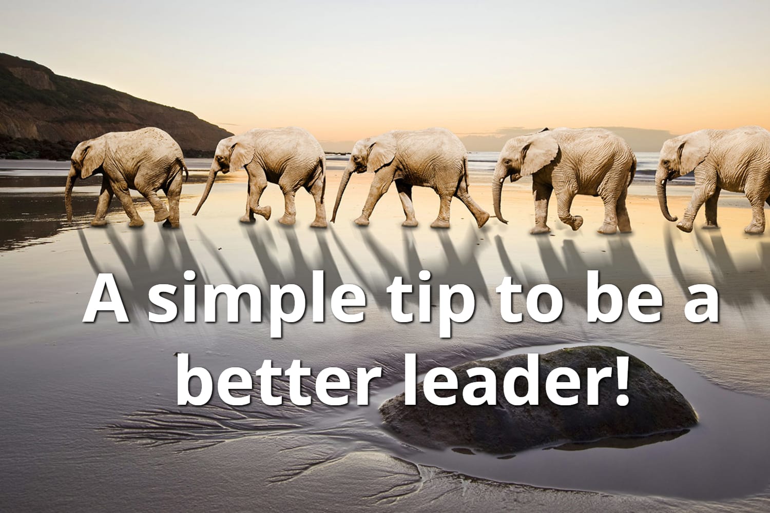 Best Leadership Tip
